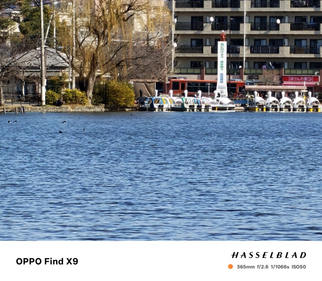 365mm（池＋ボート）: OPPO Find X9で撮影した365mm相当の超望遠写真。池の対岸に並ぶボート乗り場を大きく切り出したショット。