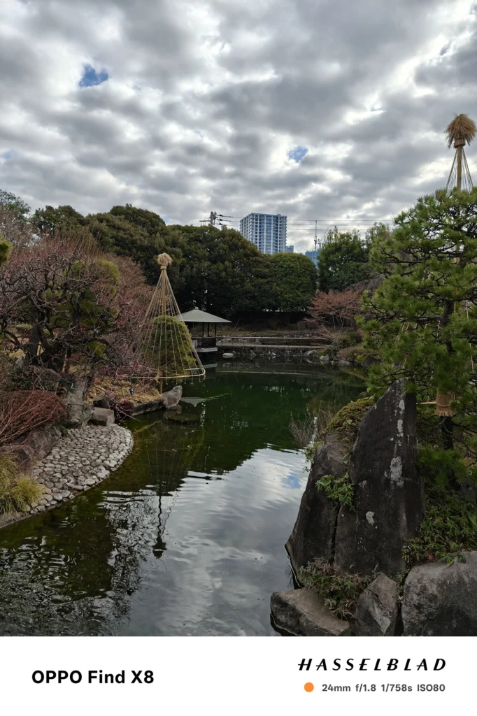 Find X8 (061bbf): 24mm f/1.8での撮影。Find X9との画角や明るさの微妙な違いを示す比較用。