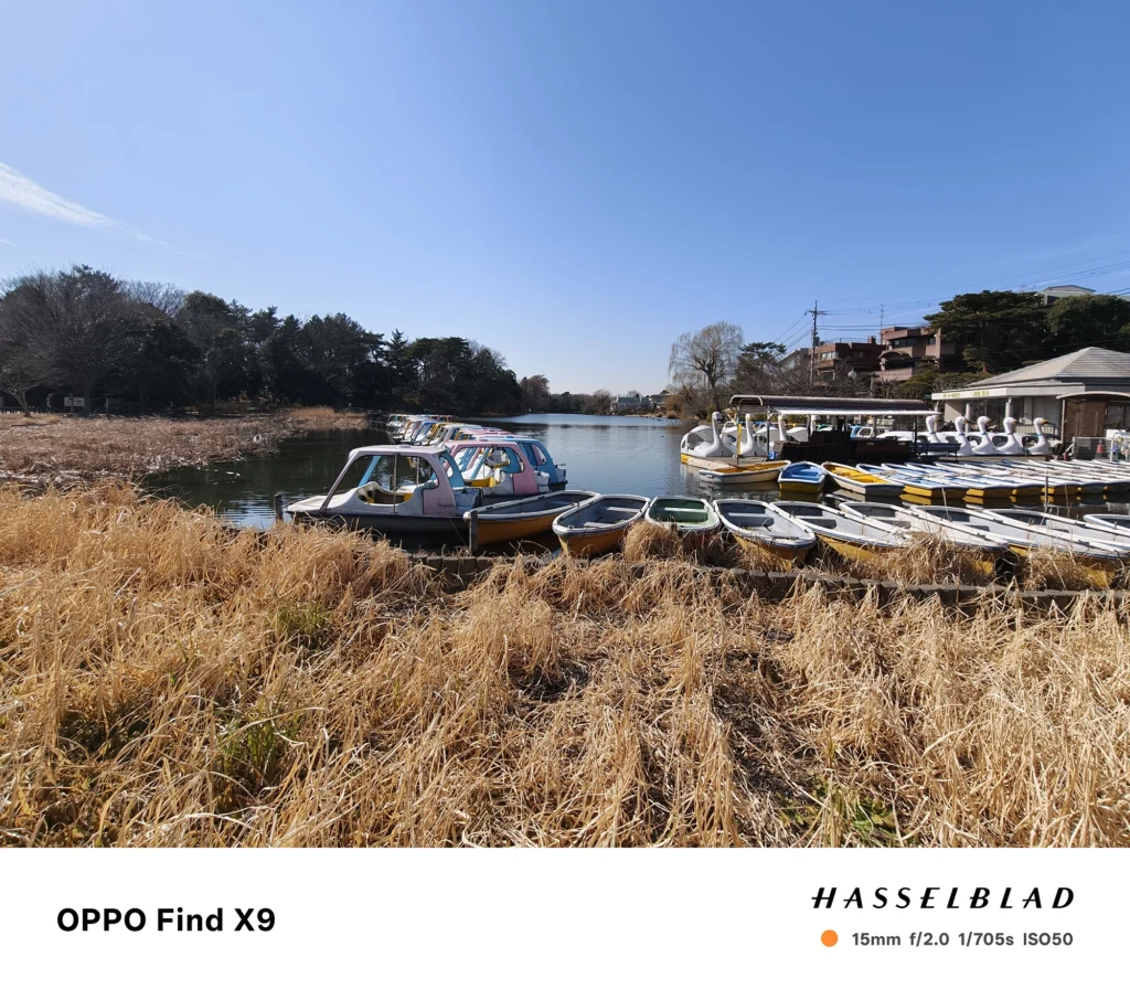 端末名：Find X9／カメラ：超広角／焦点距離：15mm相当／内容：青空の下、池の岸辺に並ぶボートと冬枯れの草地、水面の反射まで広く写した公園風景