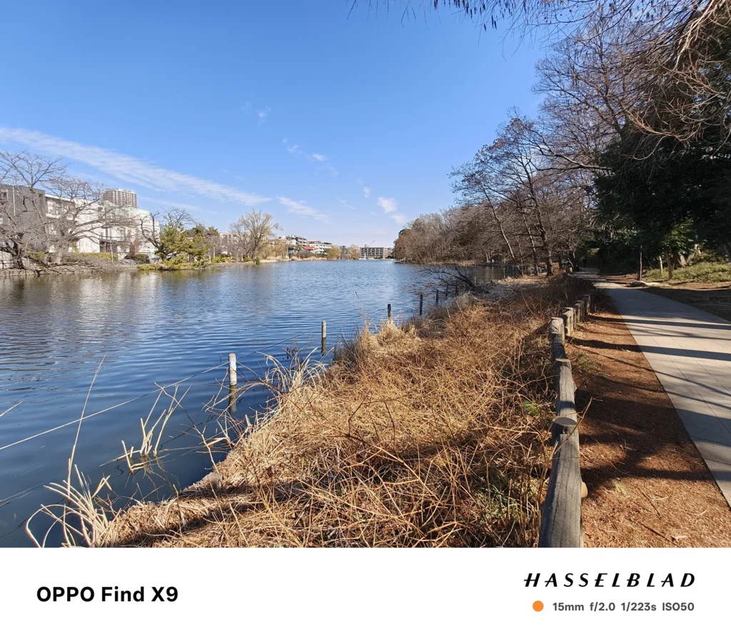 OPPO Find X9の15mm超広角で撮影した池沿いの遊歩道。水面と枯れ草、右側に続く散策路を広く写した風景