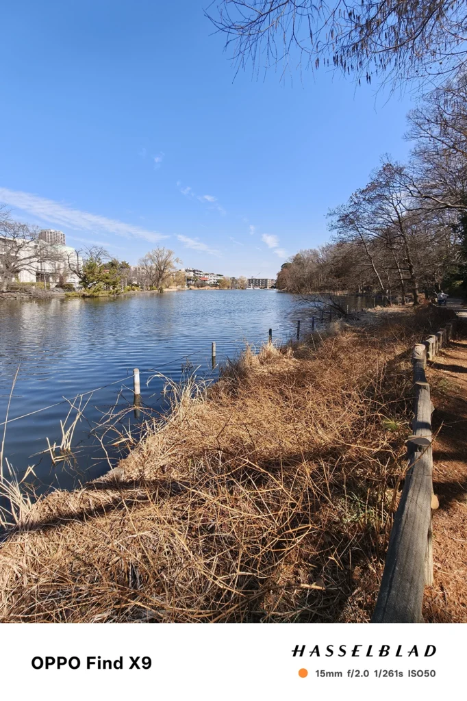 端末名：Find X9／カメラ：超広角／焦点距離：15mm相当／内容：湖面中央の彫刻とその反射を広角で捉え、青空と岸辺の樹木、遠景の建物が見える昼間の水辺風景