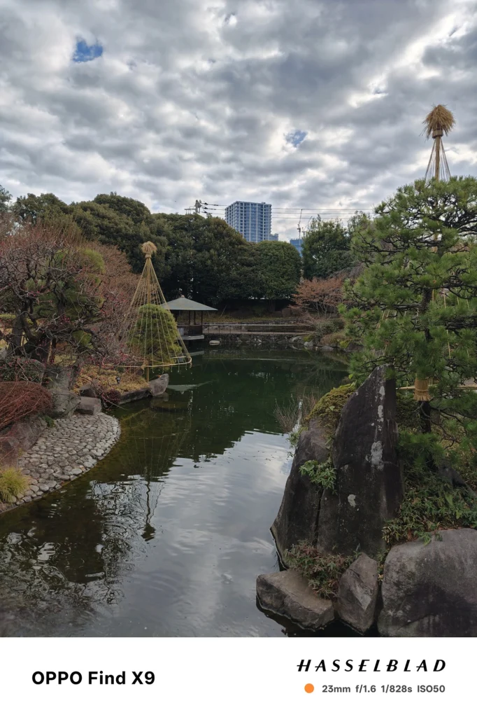 Find X9 (061bc1): メインカメラ（23mm f/1.6）による作例。前モデルよりさらに明るいレンズにより、中央の松の木や岩の質感が緻密。