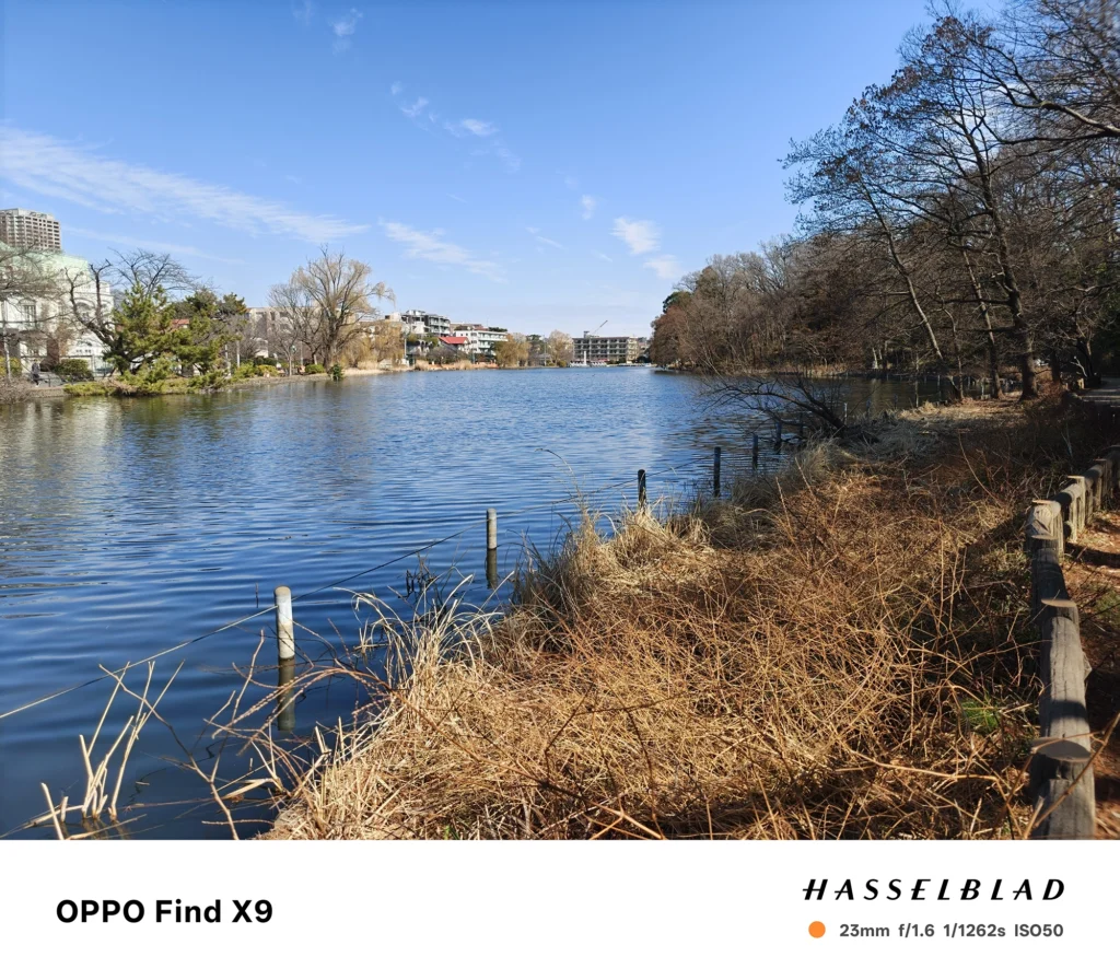 OPPO Find X9の23mm広角で撮影した池の風景。右岸の樹木と水面の波、遠景の建物までバランスよく写す