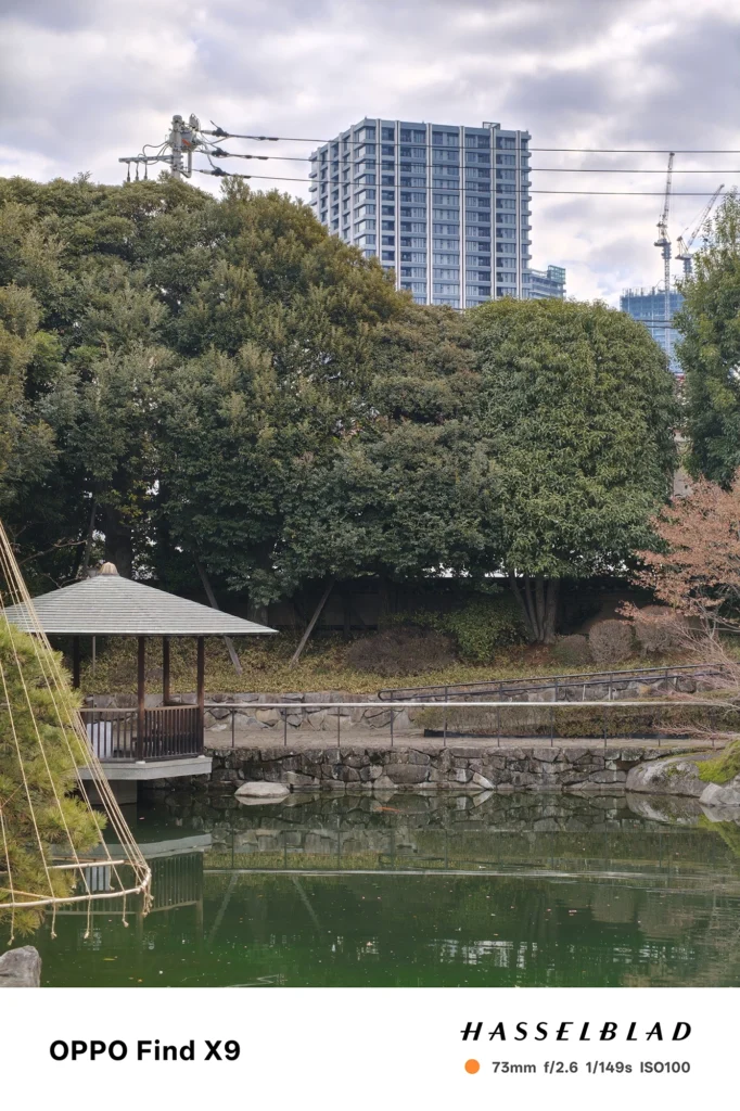端末名：Find X9／カメラ：望遠／焦点距離：73mm相当／内容：池と東屋のある公園風景を望遠で引き寄せて背景の高層建物を圧縮、屋外の昼光で樹木と水面の階調を捉える
