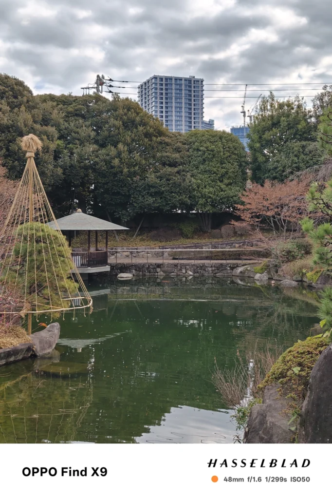 OPPO Find X9 メインカメラ2x（48mm）で撮影：池と樹木の風景、奥に都市の建物が見える庭園景
