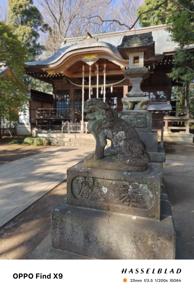 Find X9／カメラ：メイン（広角）ポートレート／焦点距離：23mm相当／内容：神社の狛犬像を前景に、社殿や境内を背景ボケで整理した日中ポートレートで石材の質感が分かる