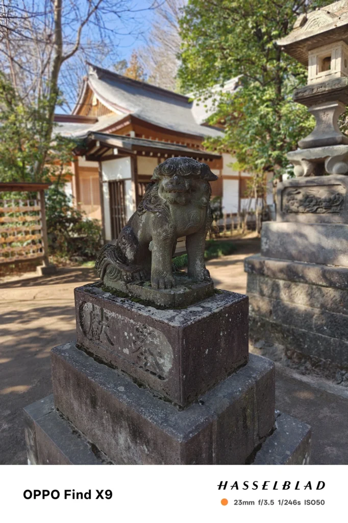 端末名：Find X9／カメラ：メイン（広角）ポートレート／焦点距離：23mm相当／内容：狛犬像を中心に置き、石灯籠や社殿側を柔らかい背景ボケで落とした日中ポートレート