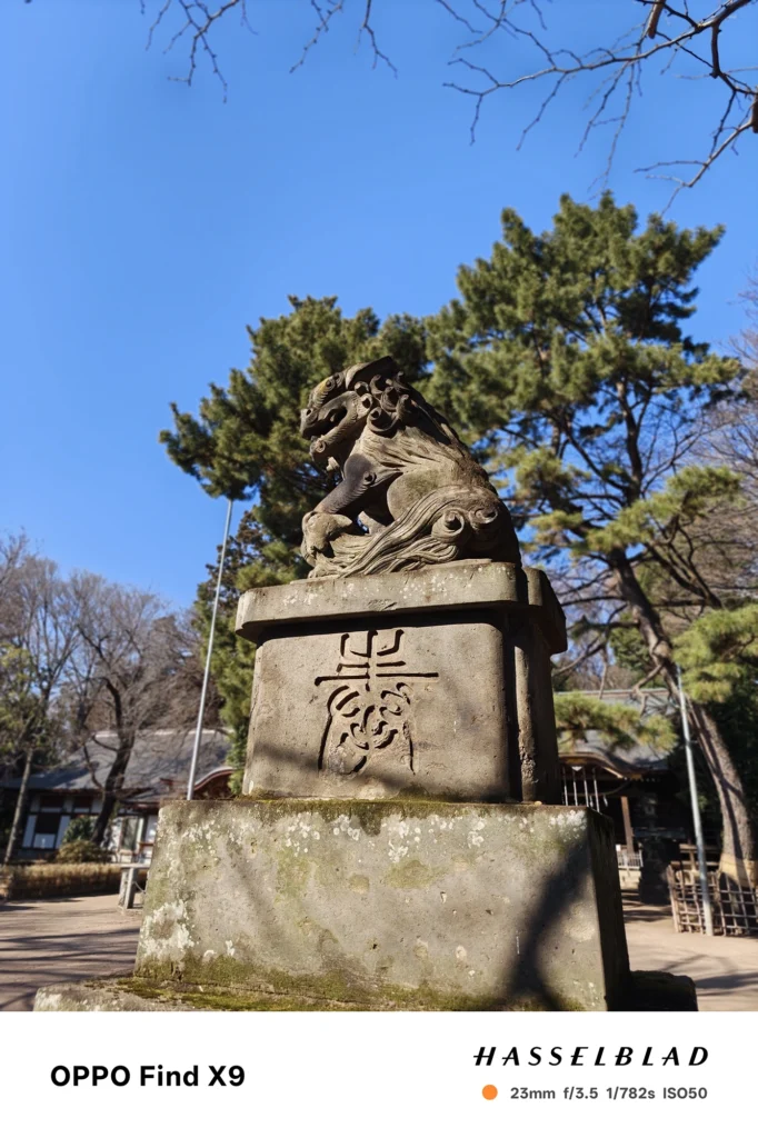 端末名：Find X9／カメラ：メイン（広角）ポートレート／焦点距離：23mm相当／内容：狛犬像を見上げる構図で空と木々を背景ボケにし、石像の立体感を強調した日中ポートレート