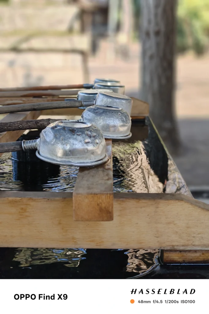 手水舎の柄杓を48mmで撮影（OPPO Find X9）。前景をシャープに、背景を大きくぼかした作例。