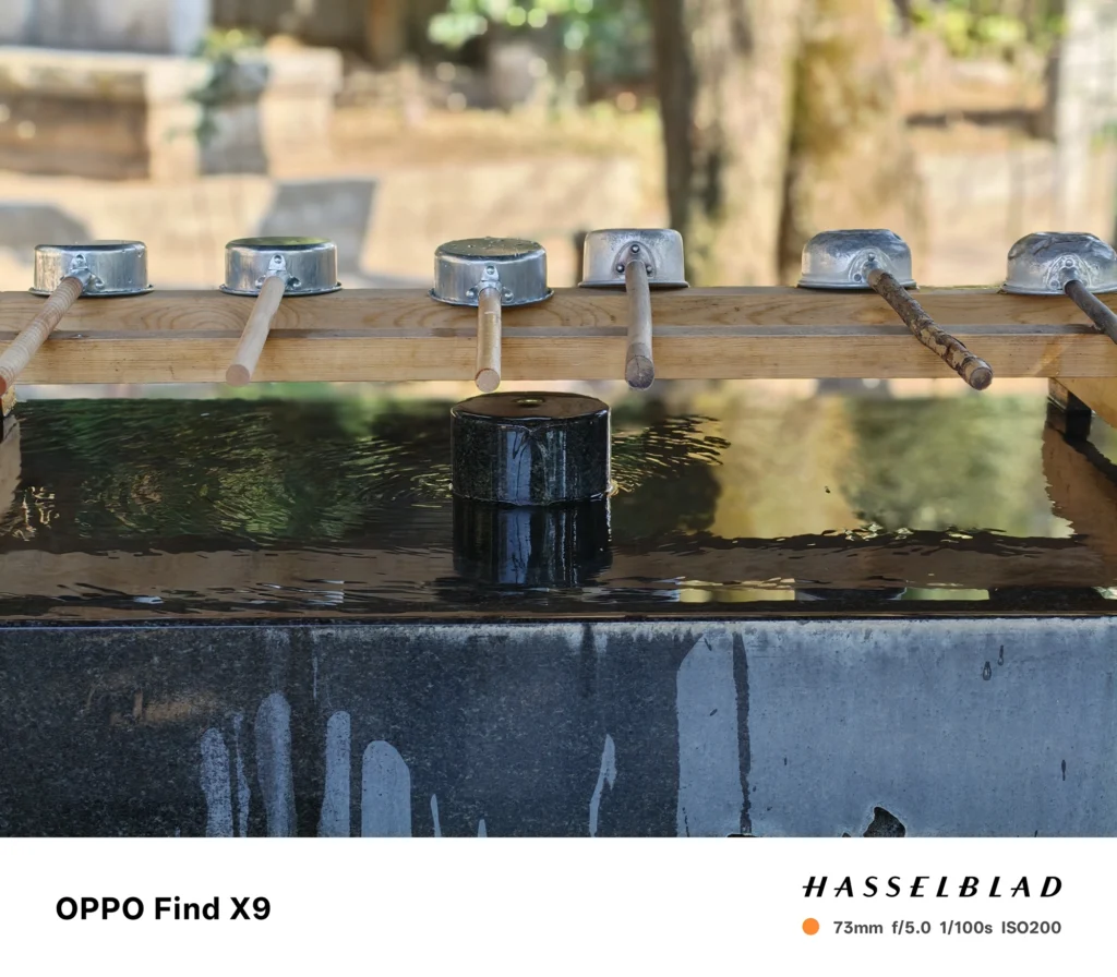 手水鉢を73mmで撮影（OPPO Find X9）。水面の反射と石材の質感、階調表現を確認。