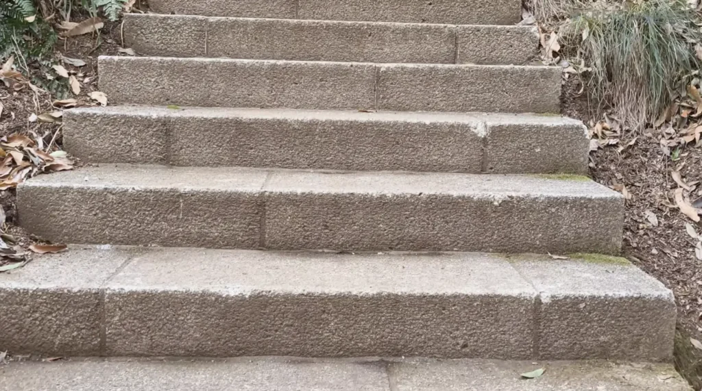 端末名：OPPO Find X9／カメラ：確認不能／焦点距離：確認不能mm相当／内容：屋外の石段を正面から見上げ、段差の質感と落ち葉、周囲の土や草のディテールを写した昼間シーン