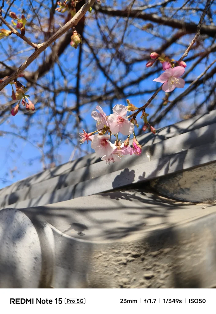 Redmi Note 15 Pro 5G＋外付け望遠（約40mm相当）で撮影した桜の花と瓦屋根、青空と影で季節感を描写