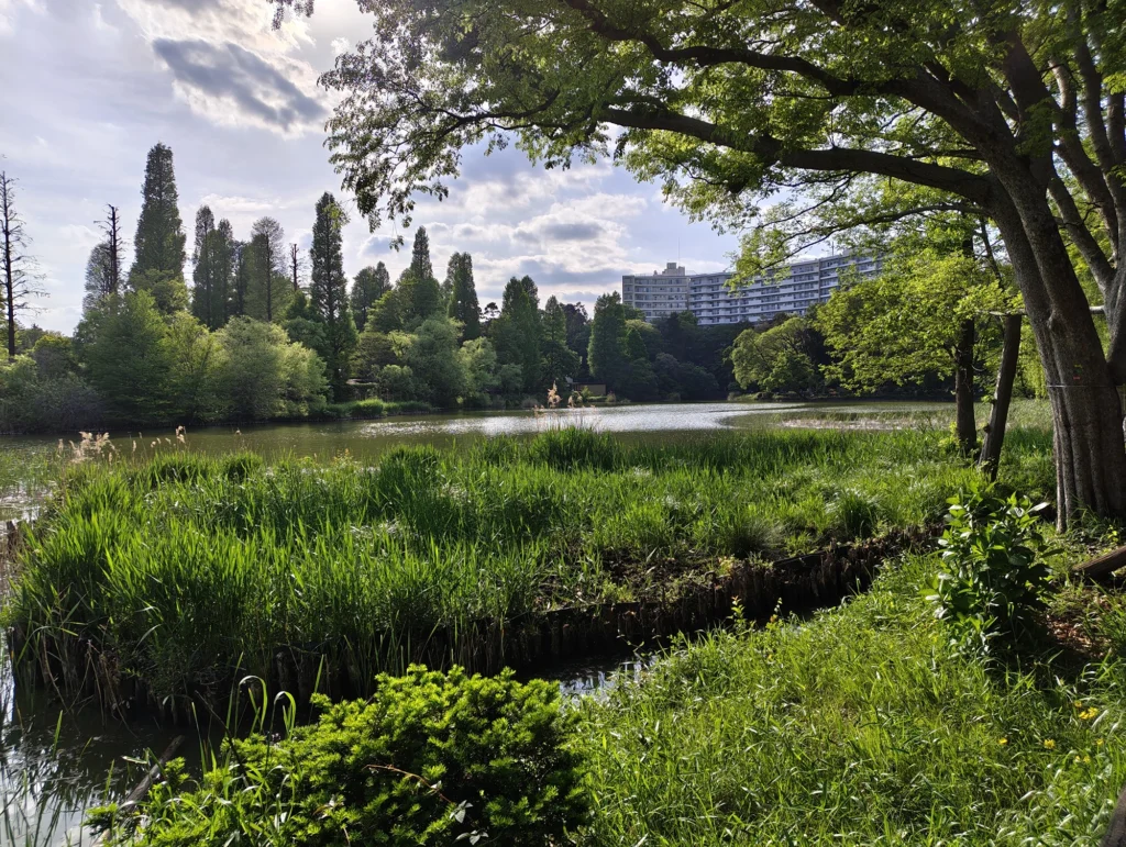 Nothing Phone 4aで撮影した屋外風景の等倍カメラ作例。池と木々、水面、建物の描写を比較