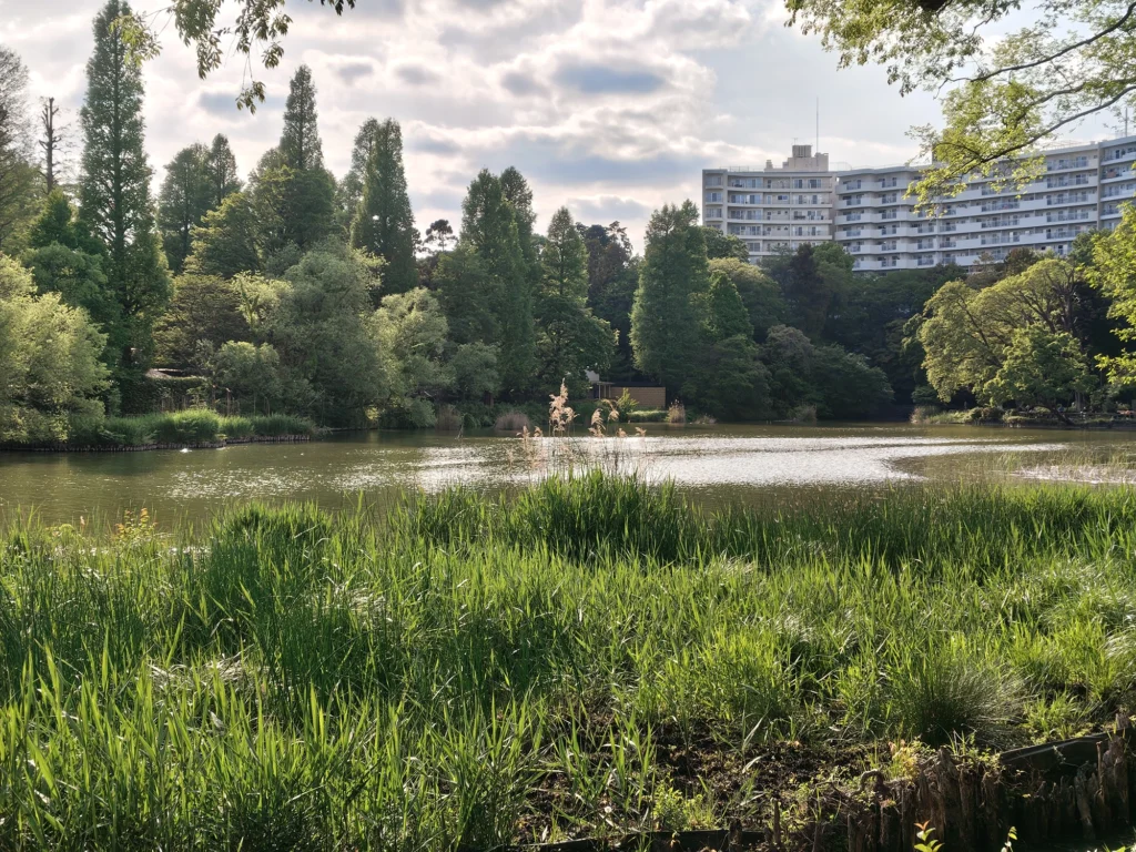 Nothing Phone 4a Proで撮影した2倍ズームの屋外作例。水面や草、遠景の建物描写を比較