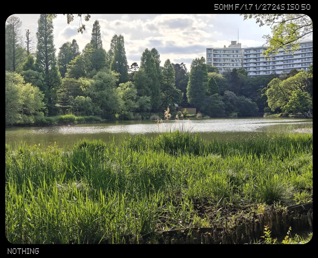 Nothing Phone 3で撮影した2倍ズームの屋外作例。水面や草、遠景の建物描写を比較