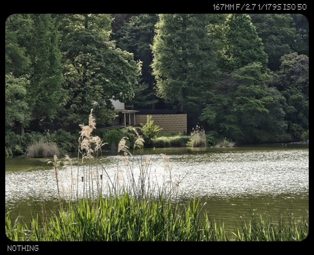Nothing Phone 3で撮影した7倍ズームの屋外作例。望遠ズーム時の木々や水面の描写を確認