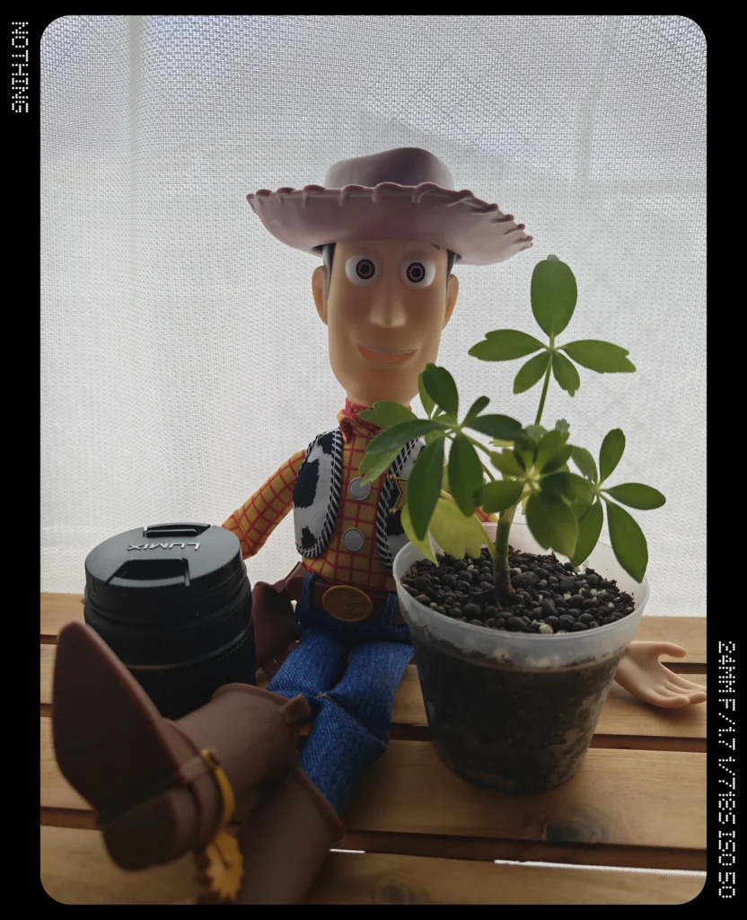 Nothing Phone 3で窓際に置いた人形、観葉植物、カメラレンズを逆光気味の屋内で撮影したカメラ作例