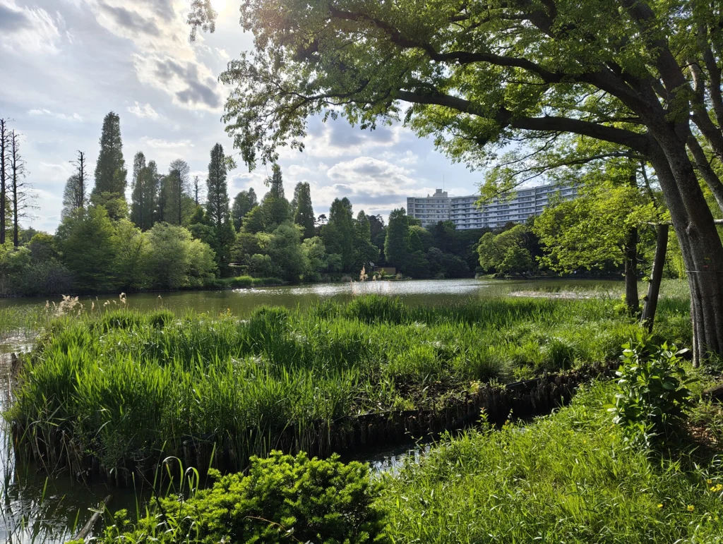 Nothing Phone 3aで撮影した屋外風景の等倍カメラ作例。池と木々、水面、建物の描写を比較